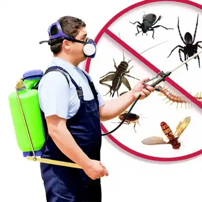 pest control Calhoun
